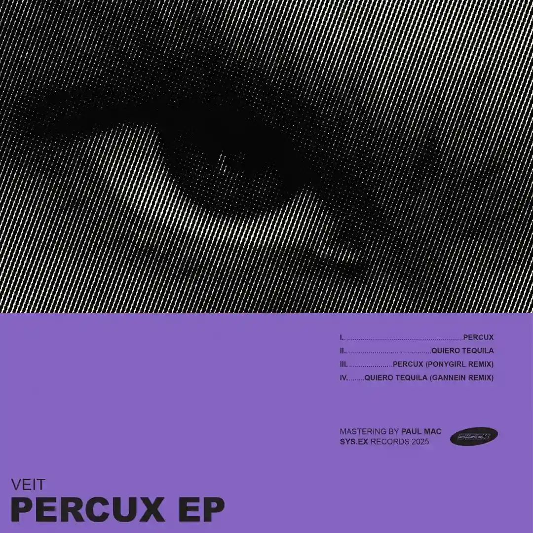 Quiero Tequila (Gannein Remix) cover