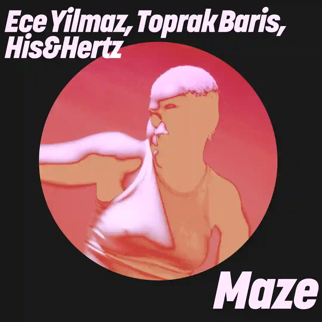 Maze cover