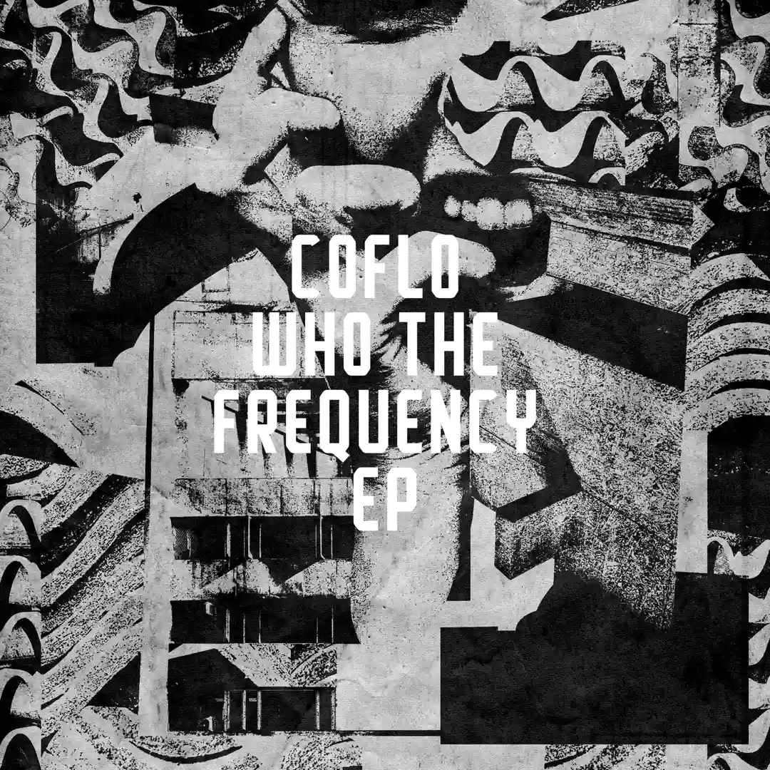 Who The Frequency feat. Rawb Boss (Original Mix) cover