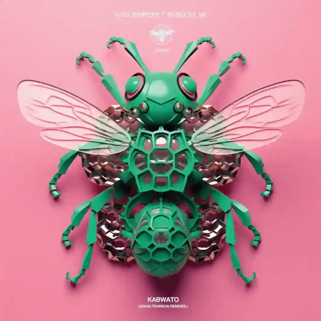 Kabwato (Ewan Pearson Remix) cover