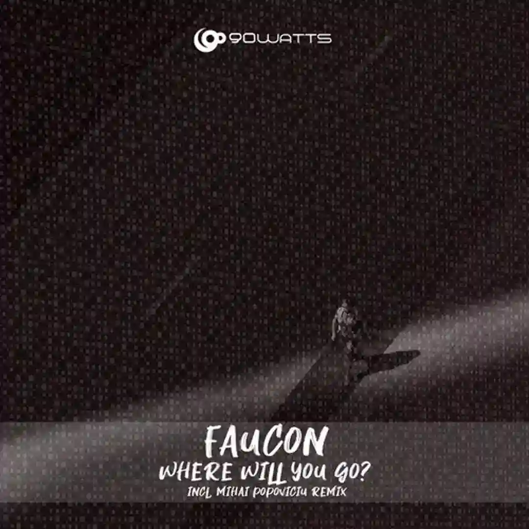 Where Will You Go? (Mihai Popoviciu Remix) cover