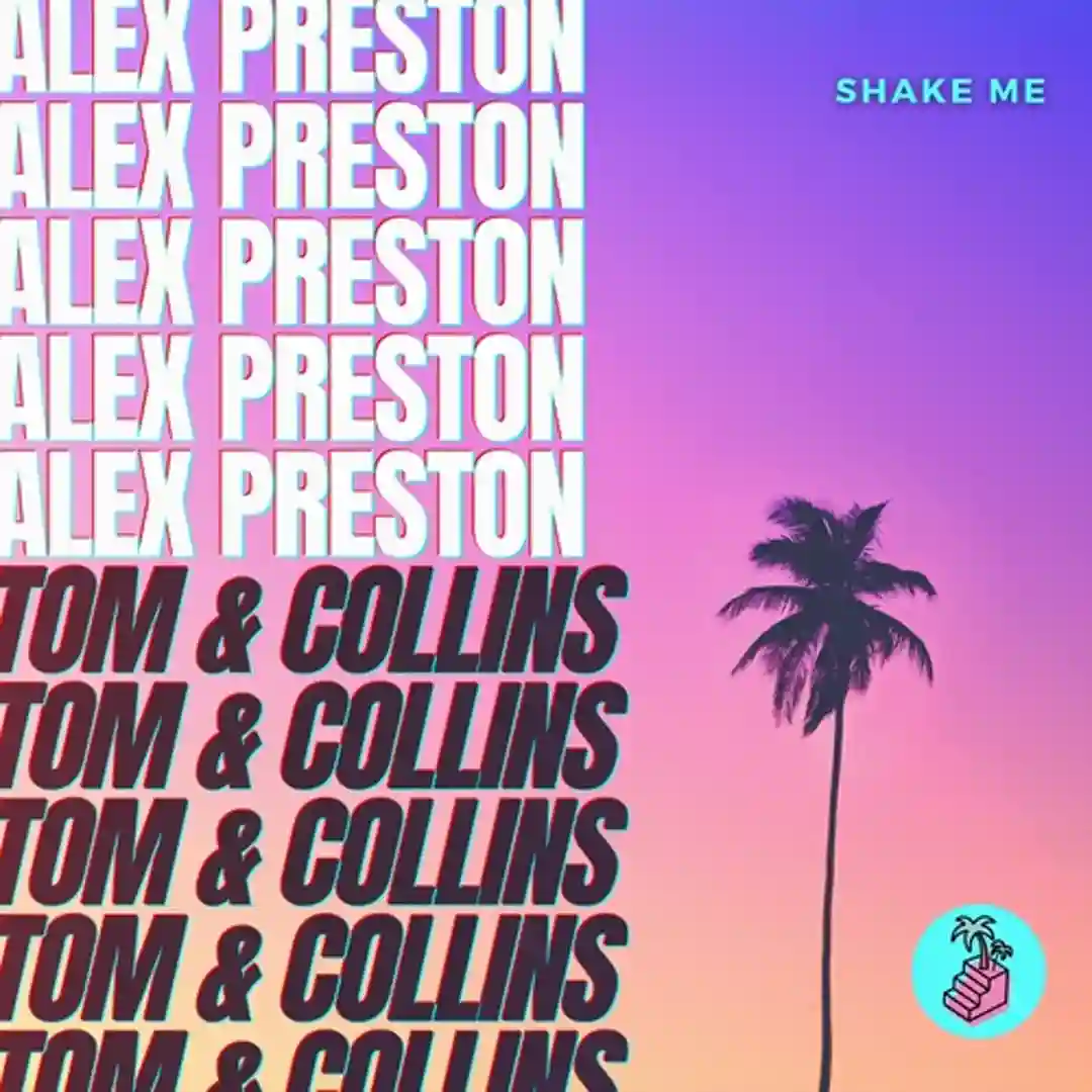 Shake Me (Extended Mix) cover