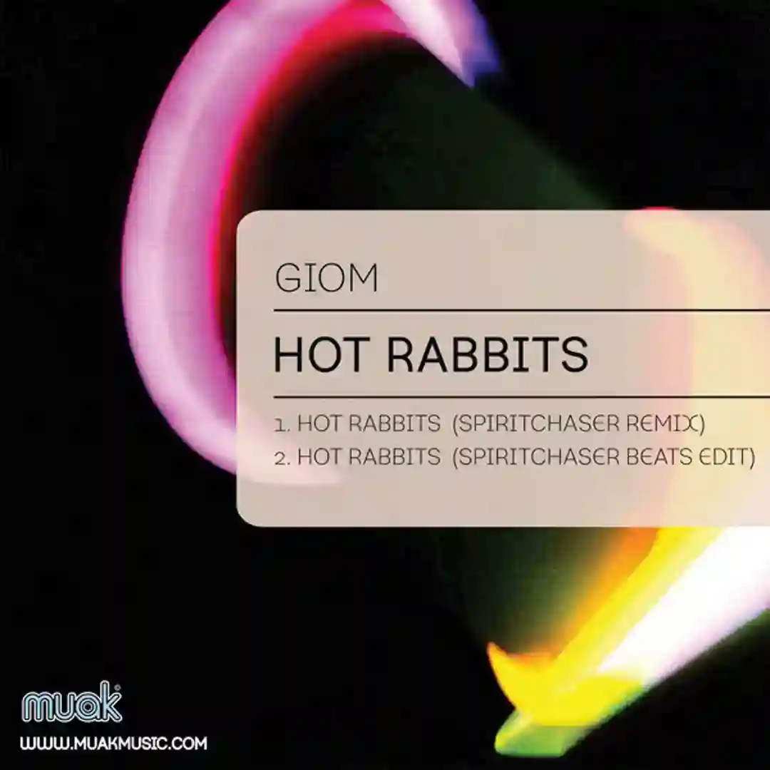 Hot Rabbits (Spiritchaser Remix) cover
