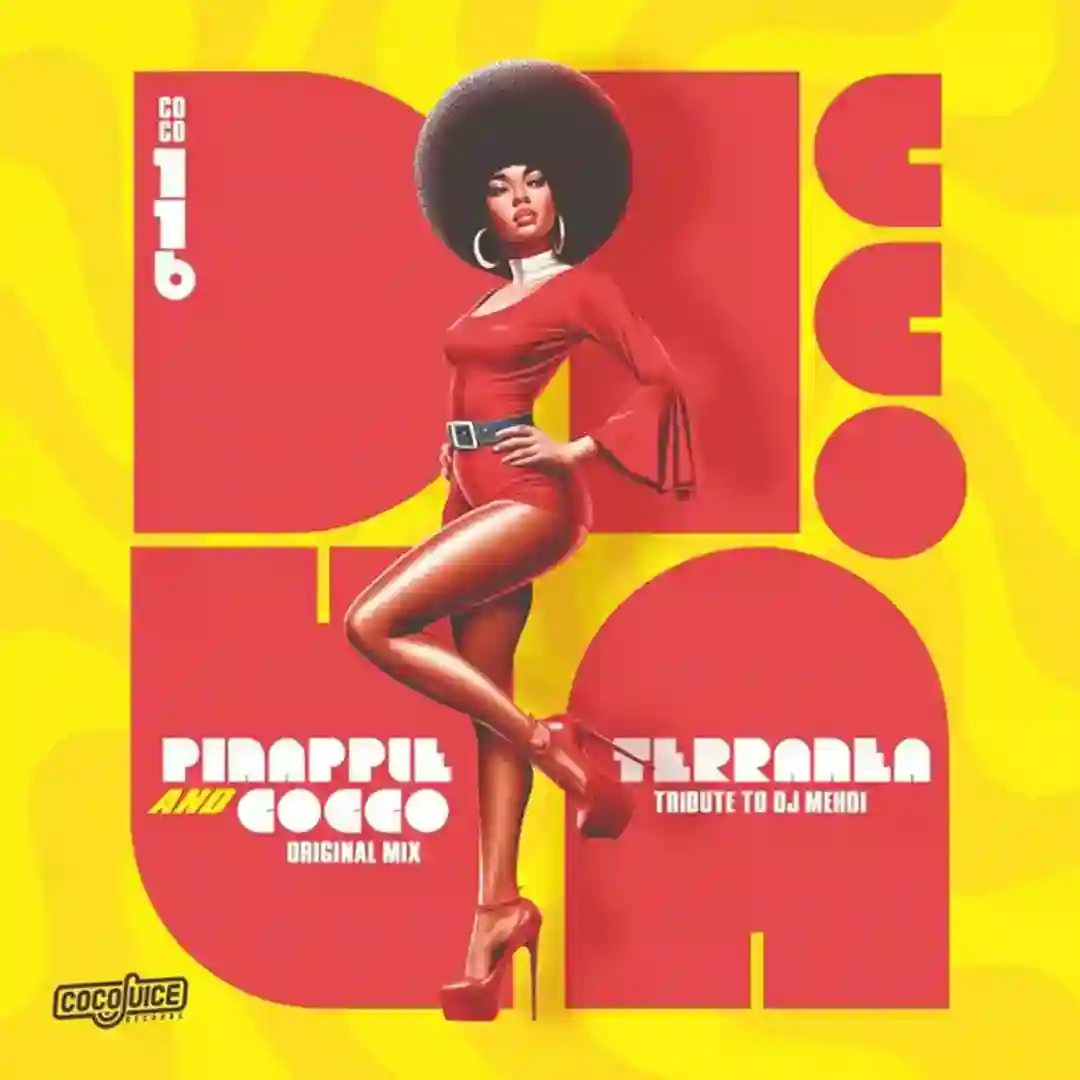 Terranea (Tribute to Dj Mehdi) cover