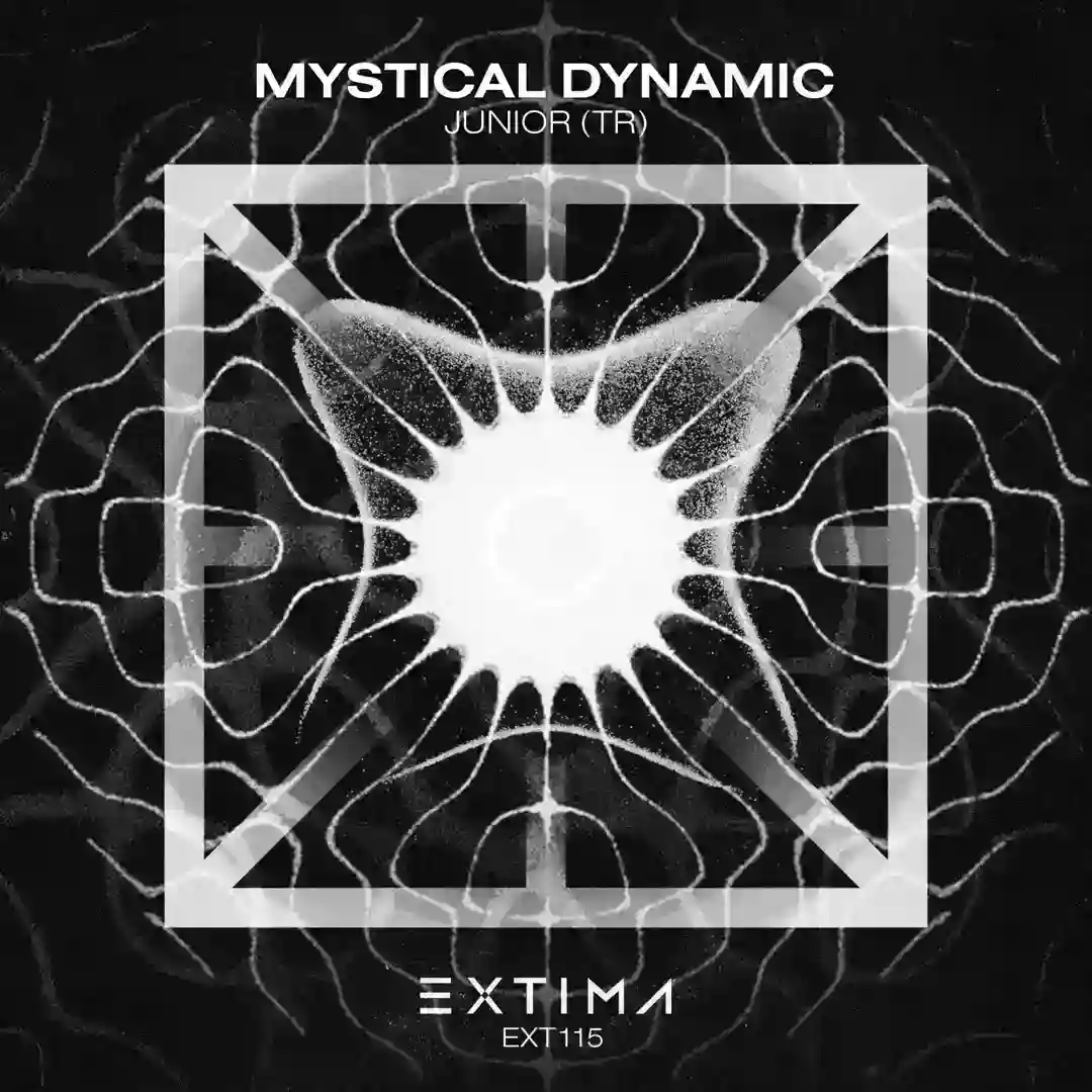 Mystical Dynamic (Original Mix) cover