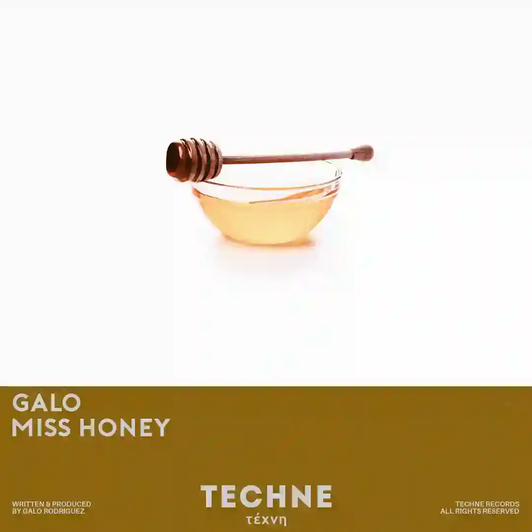 Miss Honey (Original Mix) cover
