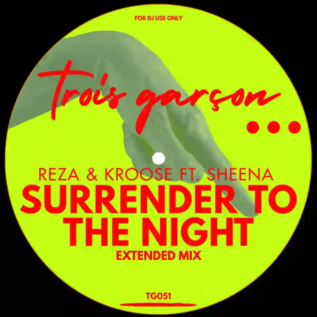 Surrender To The Night cover