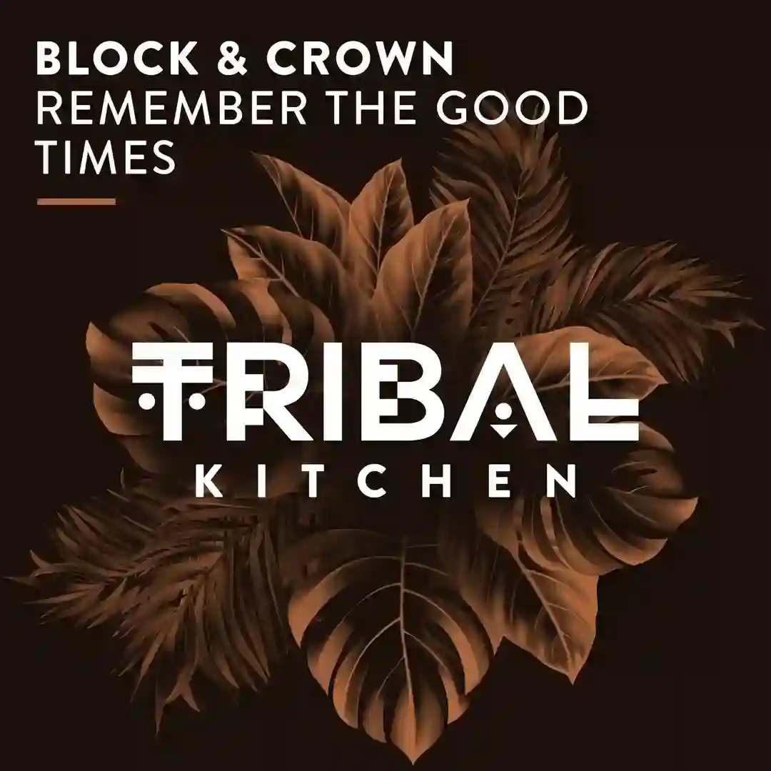 Remember the Good Times (Extended Mix) cover