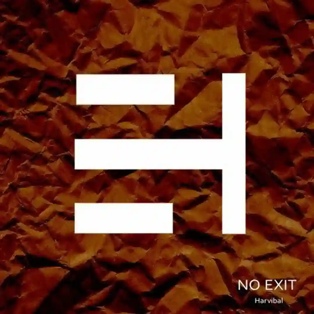 Chivo (Original Mix) cover