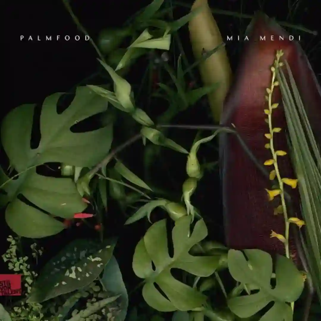 PALMFooD | Mia Mendi cover