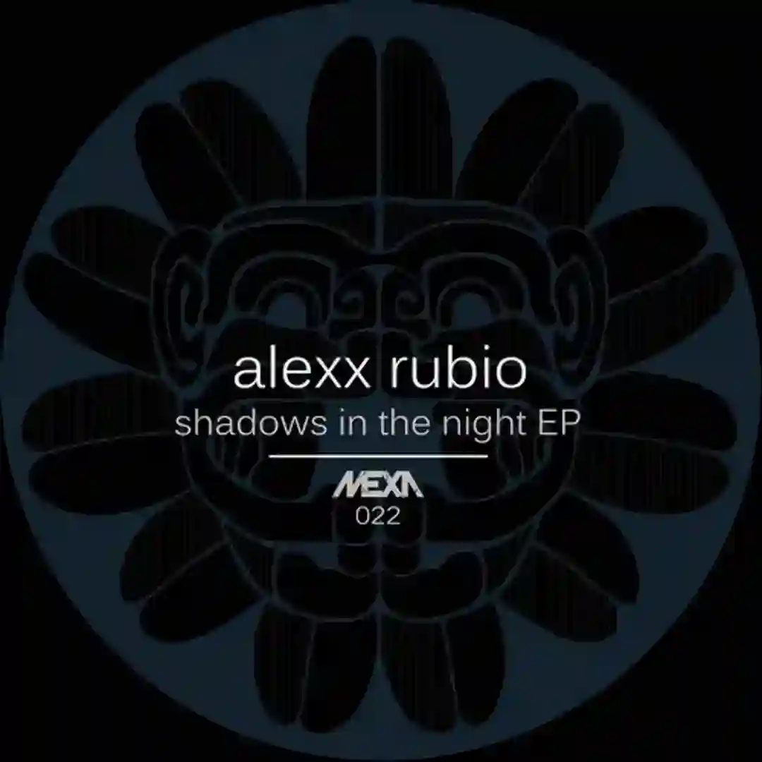 Shadows In The Night (Nicola Cruz Remix) cover