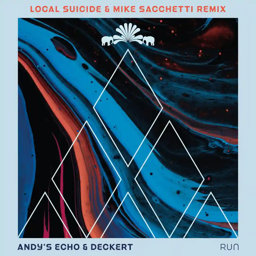 Run (Local Suicide & Mike Sacchetti Remix - Extended Version) cover