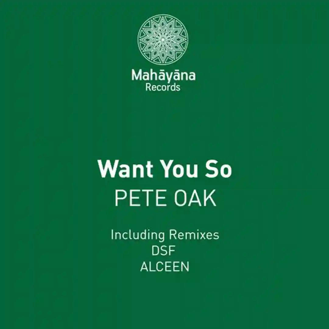 Want You So (DSF remix) cover