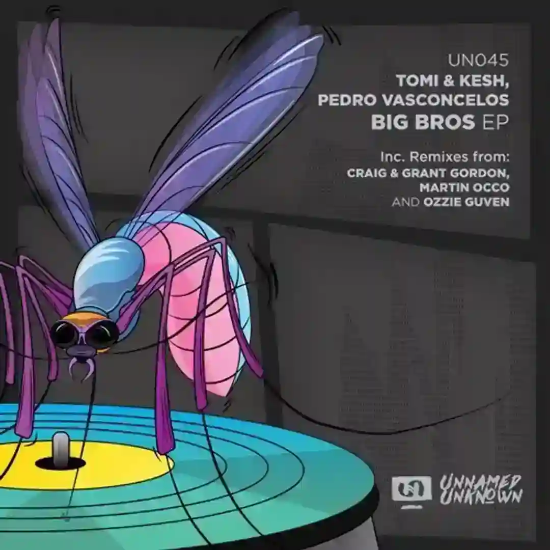 The Vibe (Martin OCCO Remix) cover