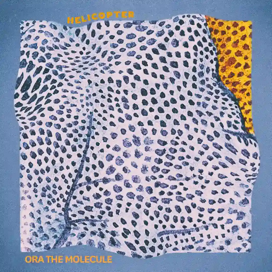 Helicopter (Remixes) cover