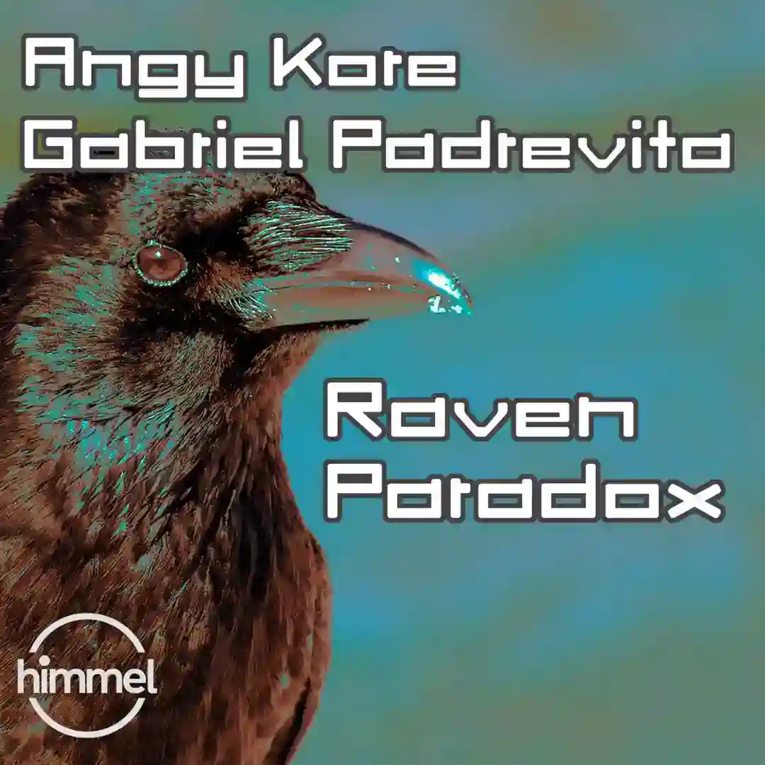 Raven Paradox (Original Mix) cover