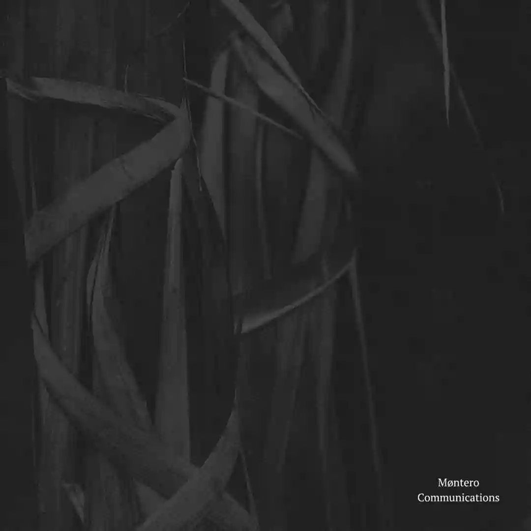 Communication 111 cover