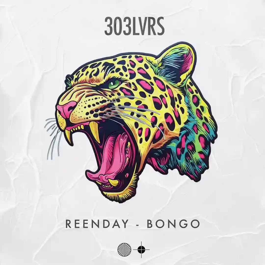 Bongo (Extended Mix) cover