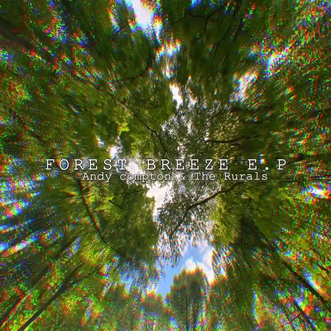 My Experience cover