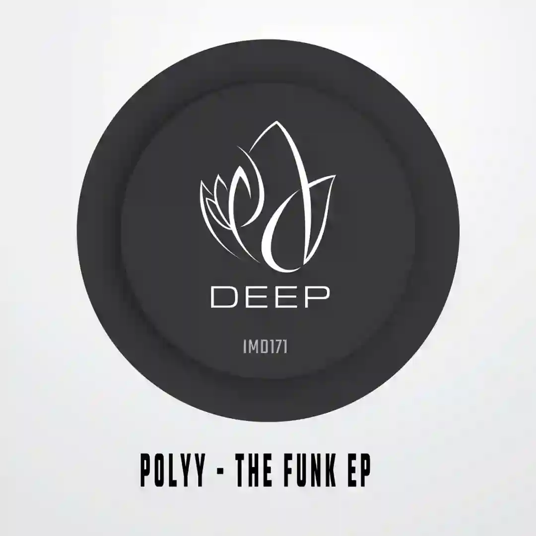The Funk (Original Mix) cover