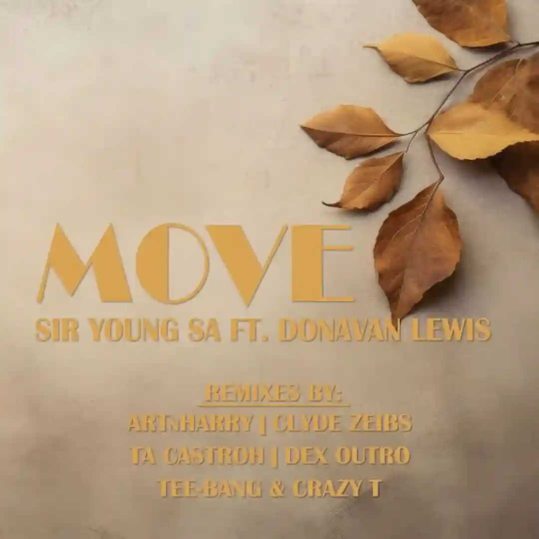 Move (Tee-Bang & Crazy-T Remix) cover