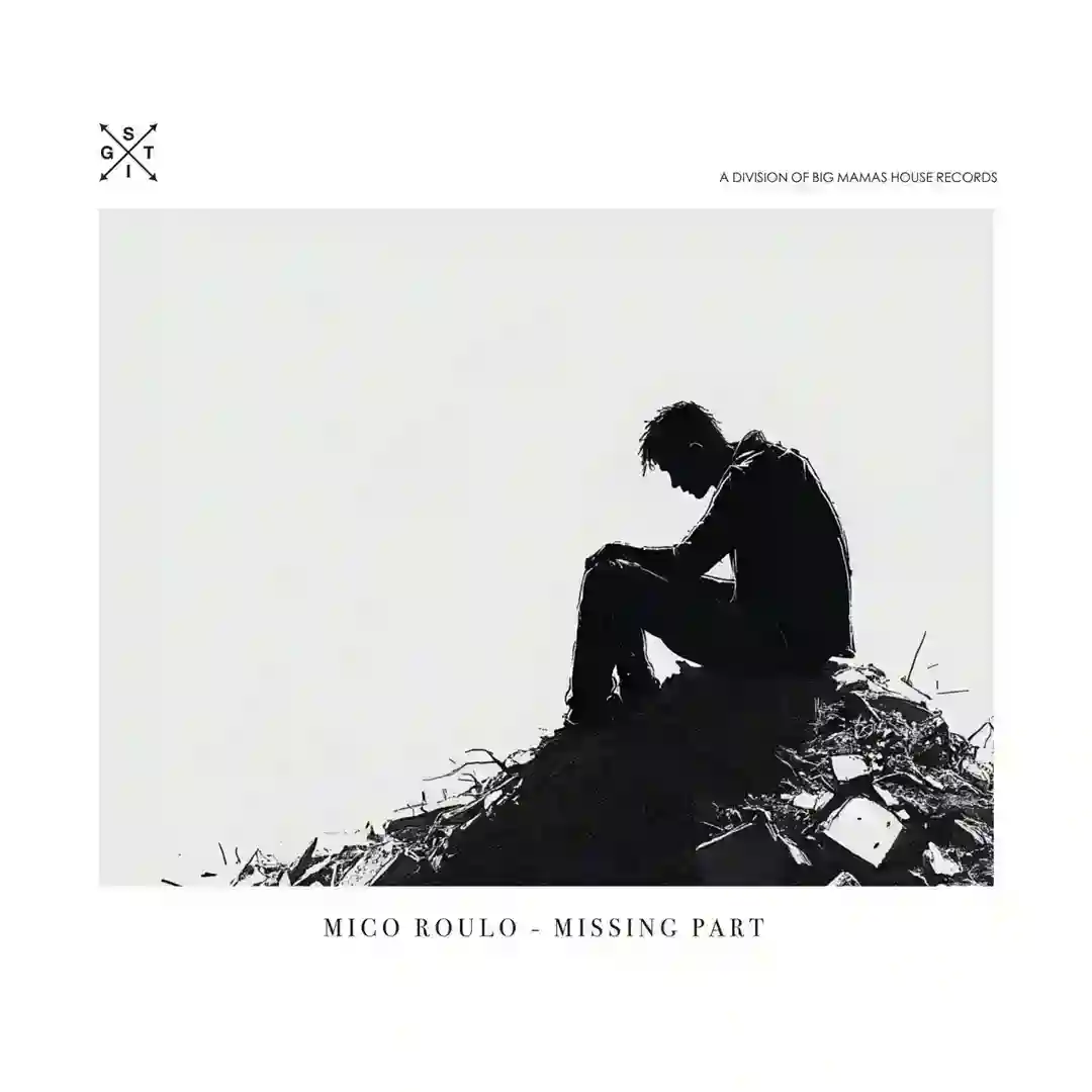 Missing Part (Original Mix) cover