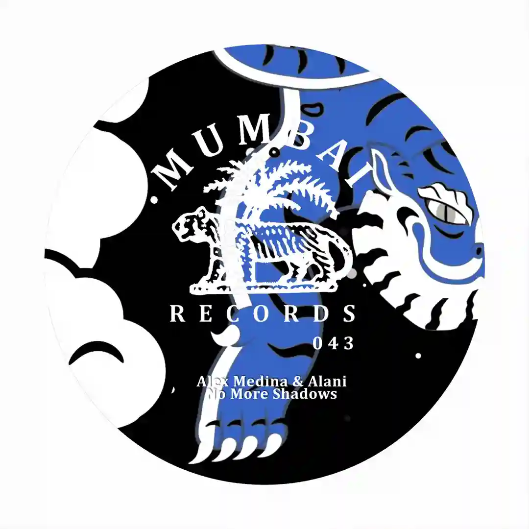 No More Shadows feat. Diego Barber (Original Mix) cover