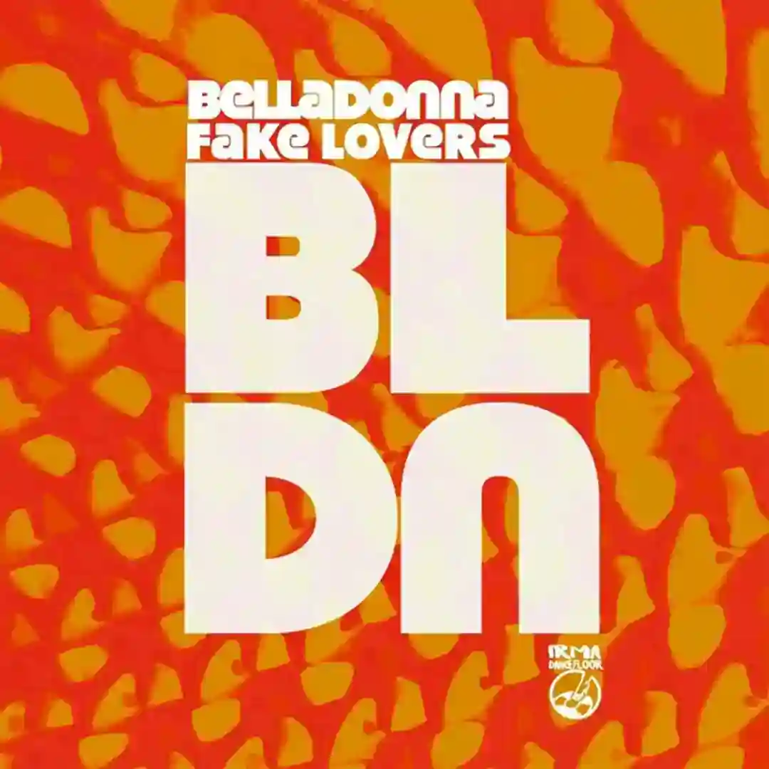 Fake Lovers cover