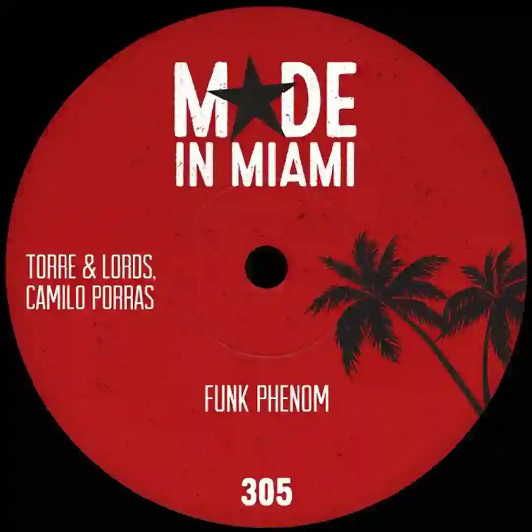 Funk Phenom (Original Mix) cover