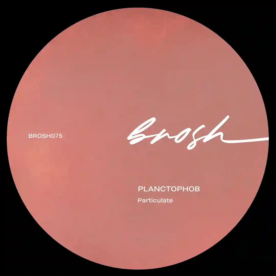 Particulate cover