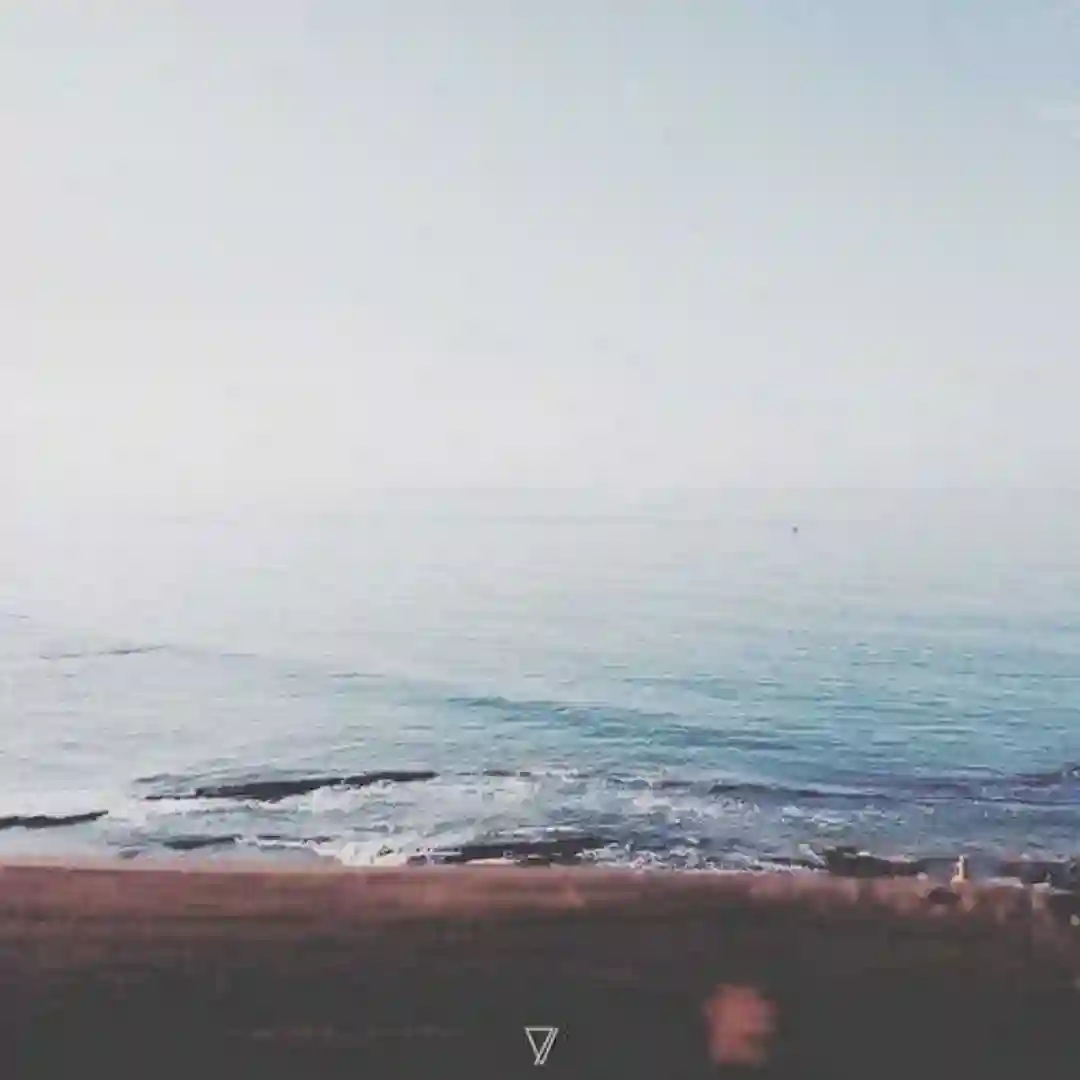 Camellia (Original Mix) cover