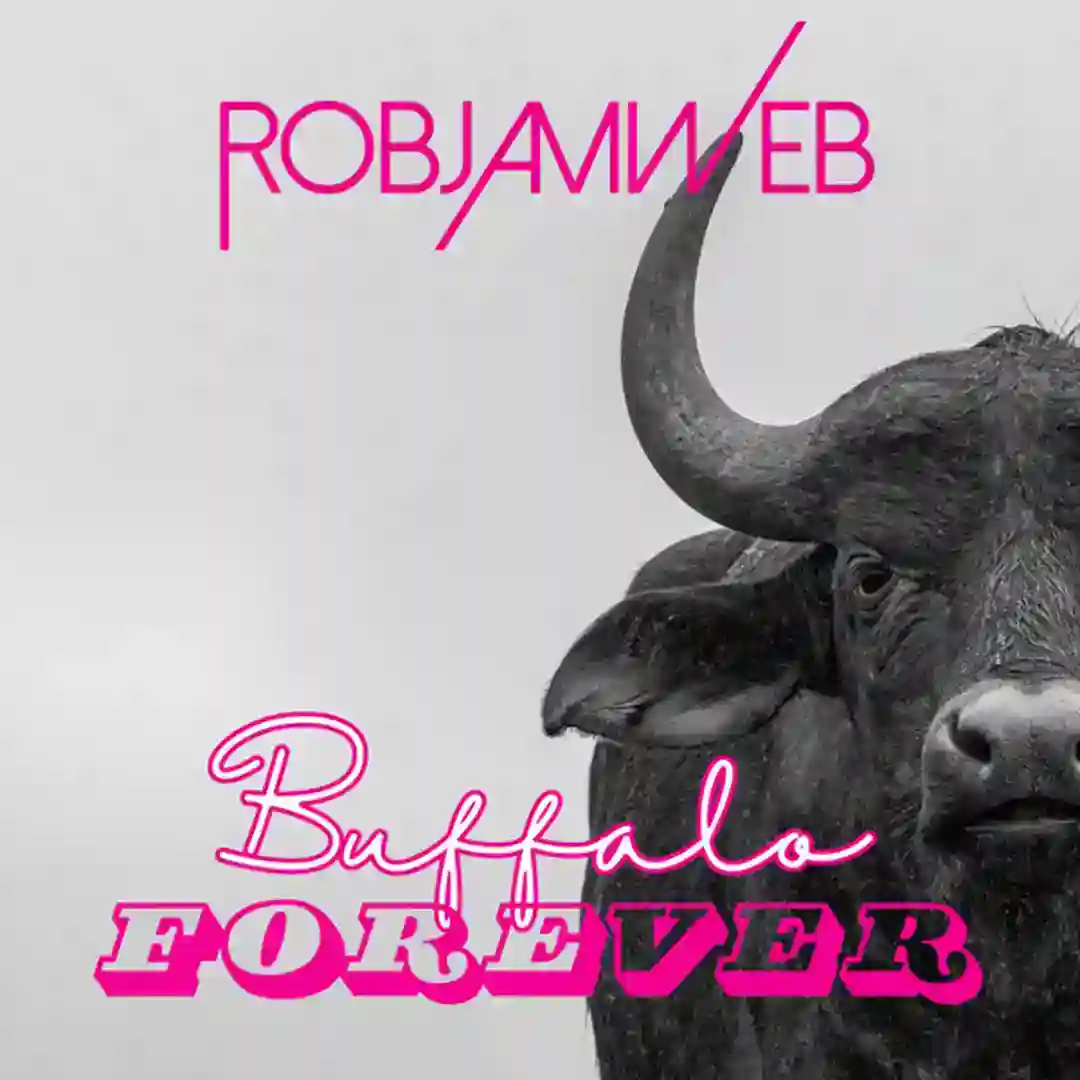 Buffalo Forever (Original Mix) cover