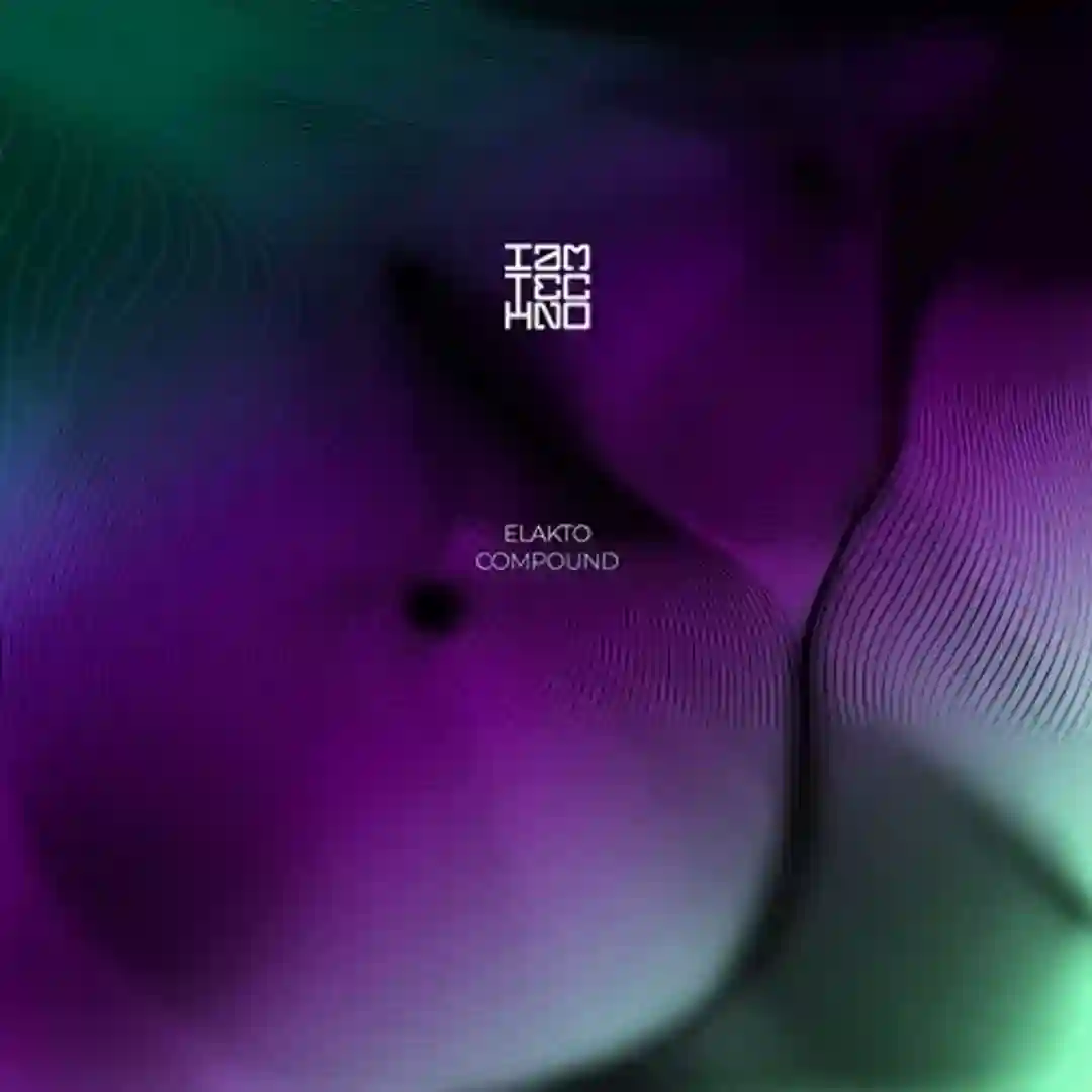 Sense of Repetition (Original Mix) cover