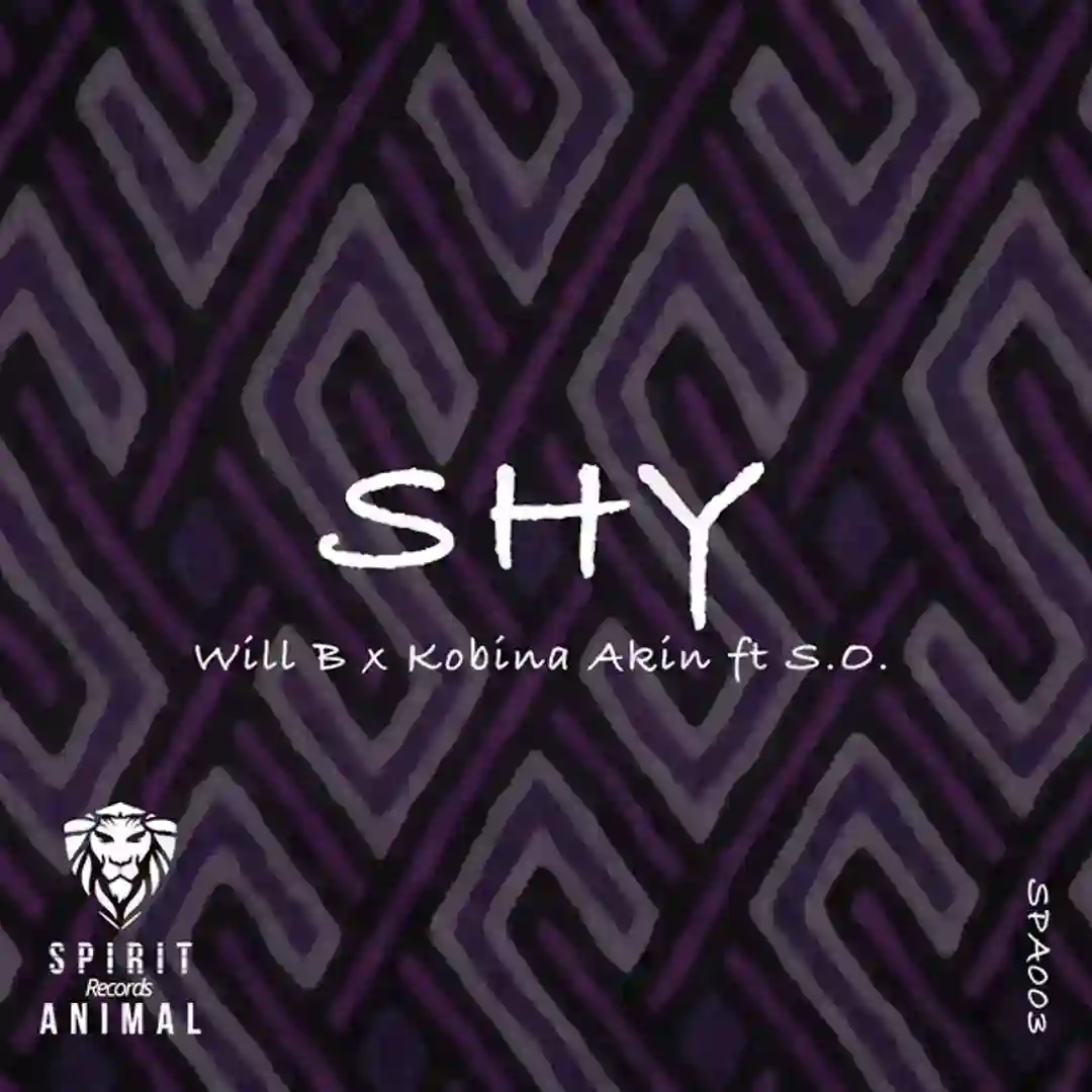 Shy (Extended Dub Mix) cover