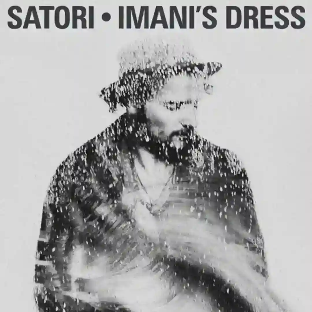 Imani's Dress cover