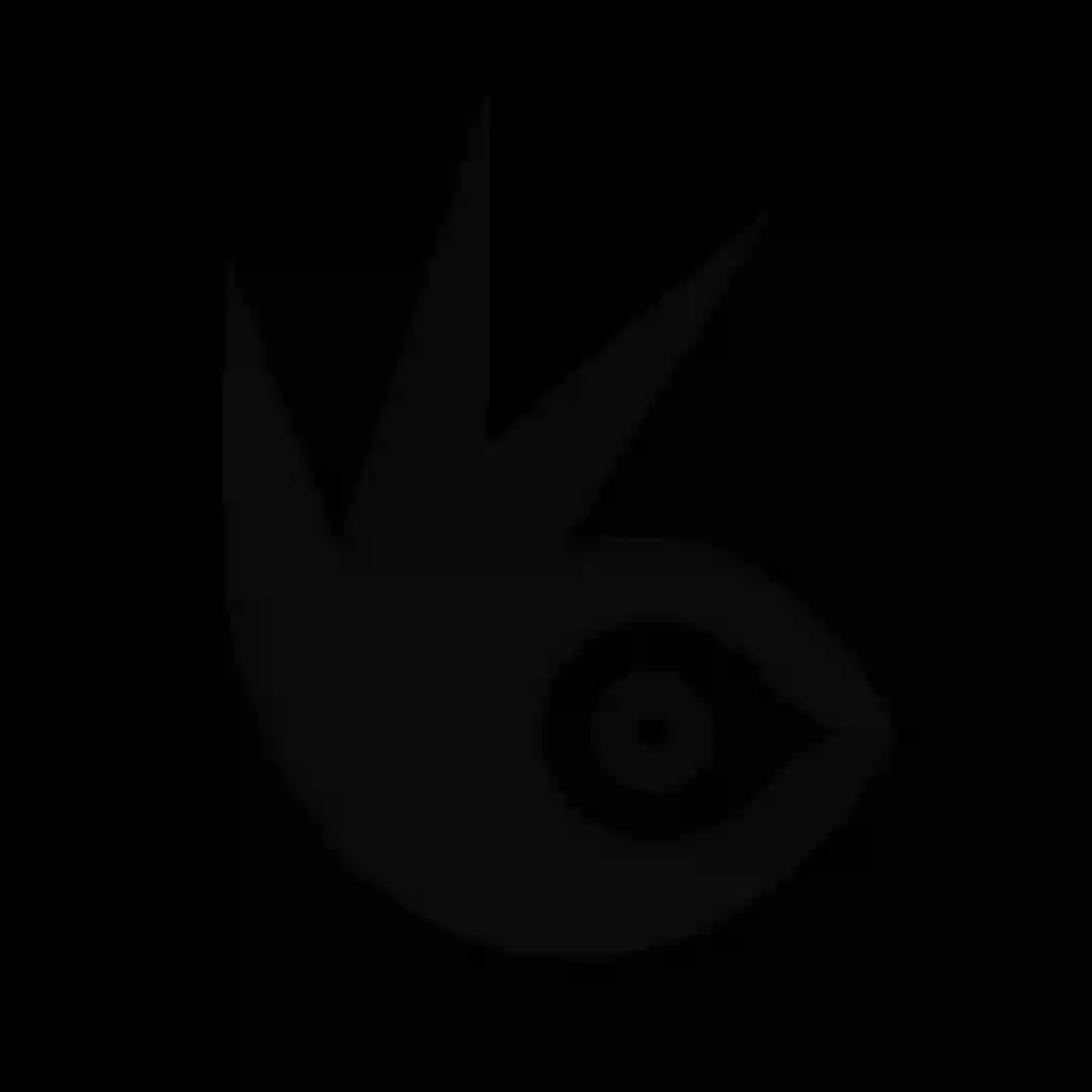 H.301 cover