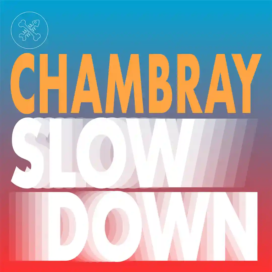 Slow Down (Original Mix) cover
