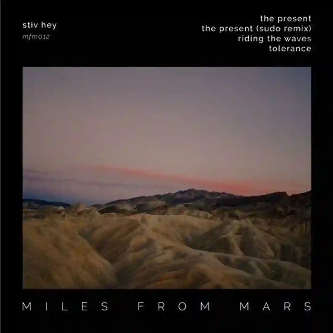 Riding The Waves (Original Mix) cover