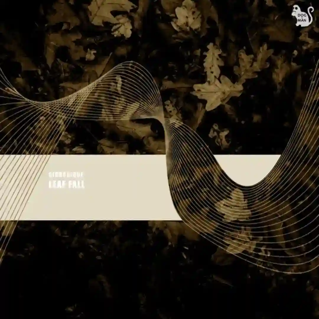Colibri (Original Mix) cover