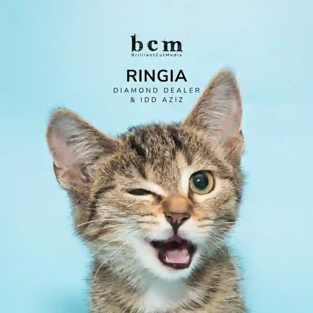 RINGIA (Original Mix) cover