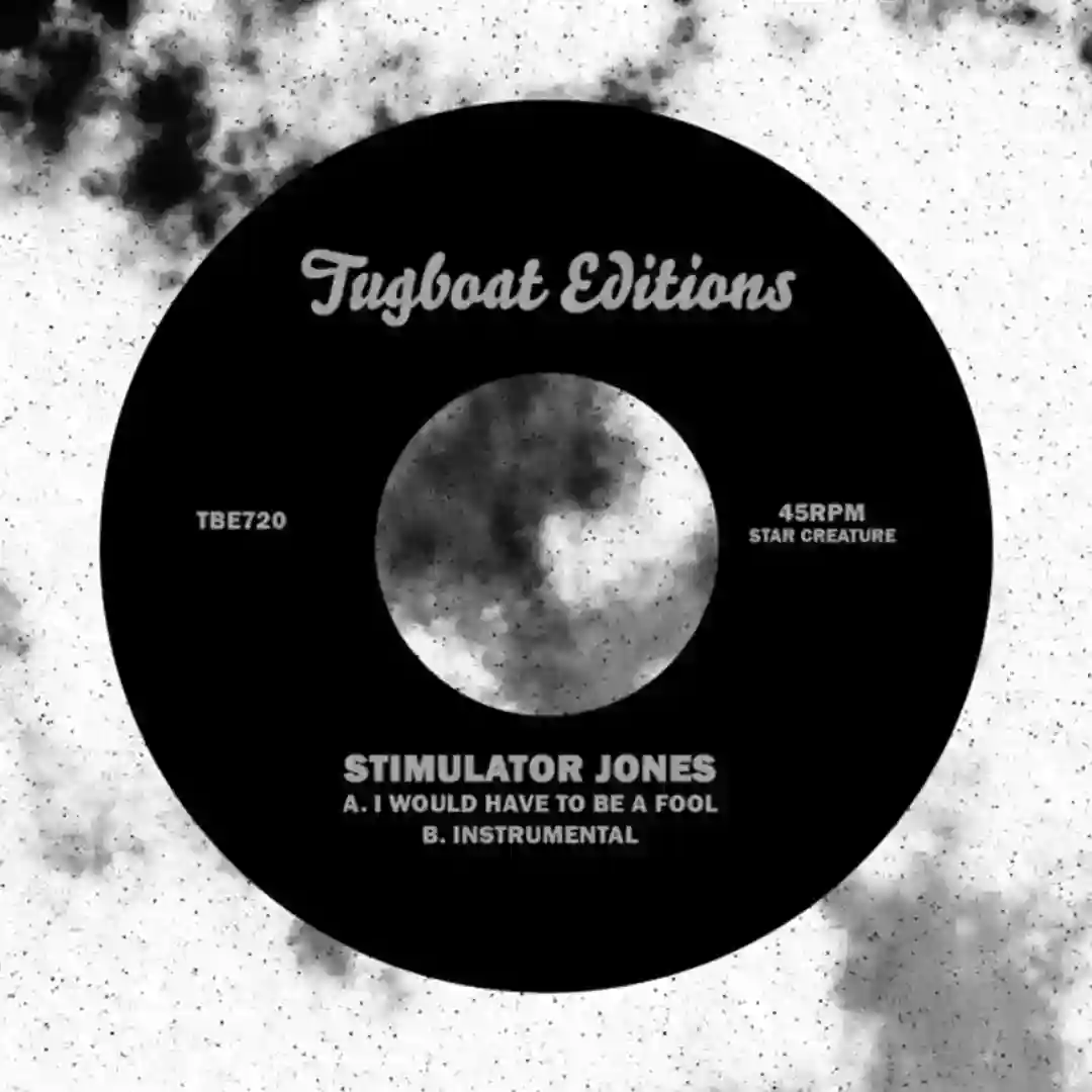 I Would Have To Be A Fool (Instrumental Mix) cover