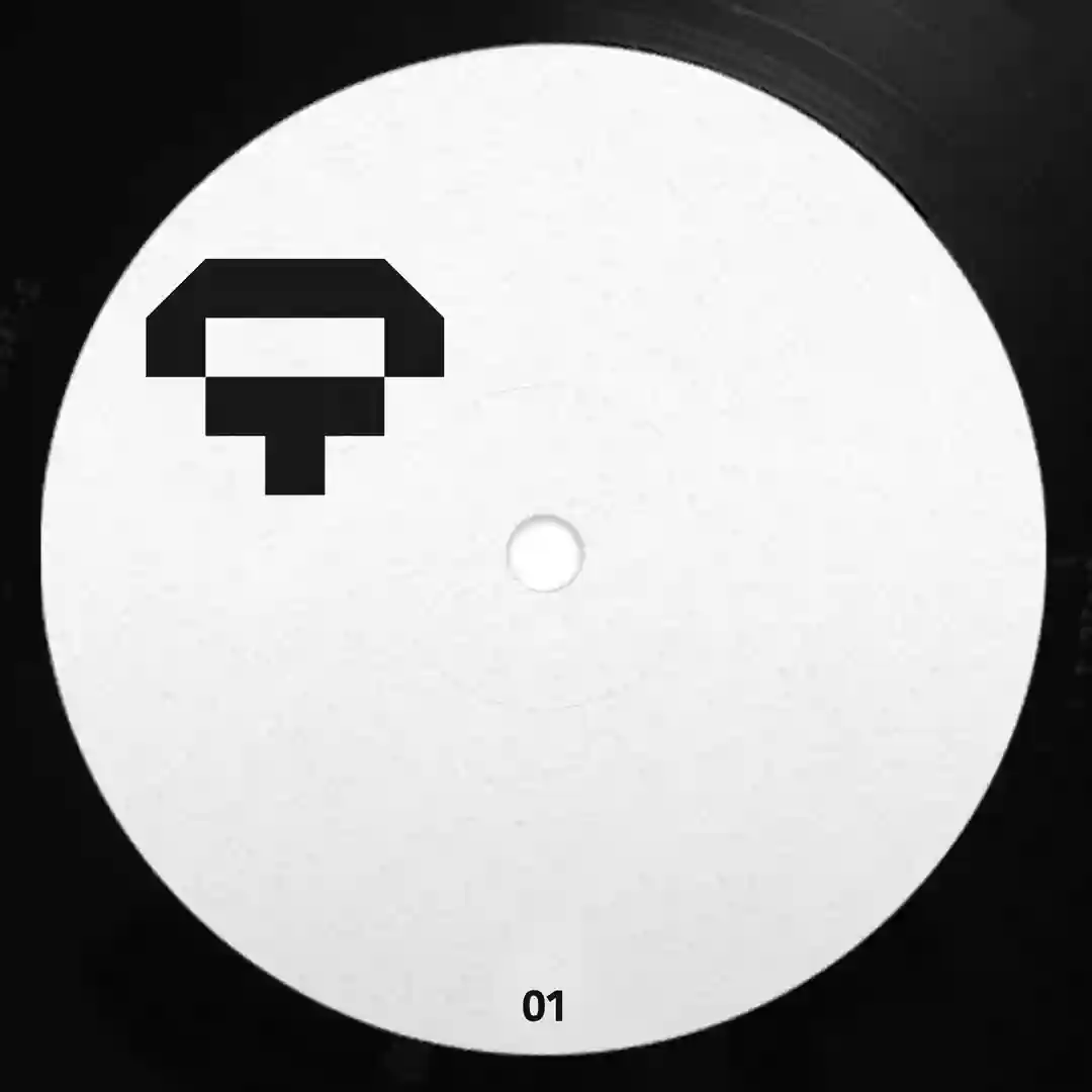 The Funky Rhythm (Original Mix) cover
