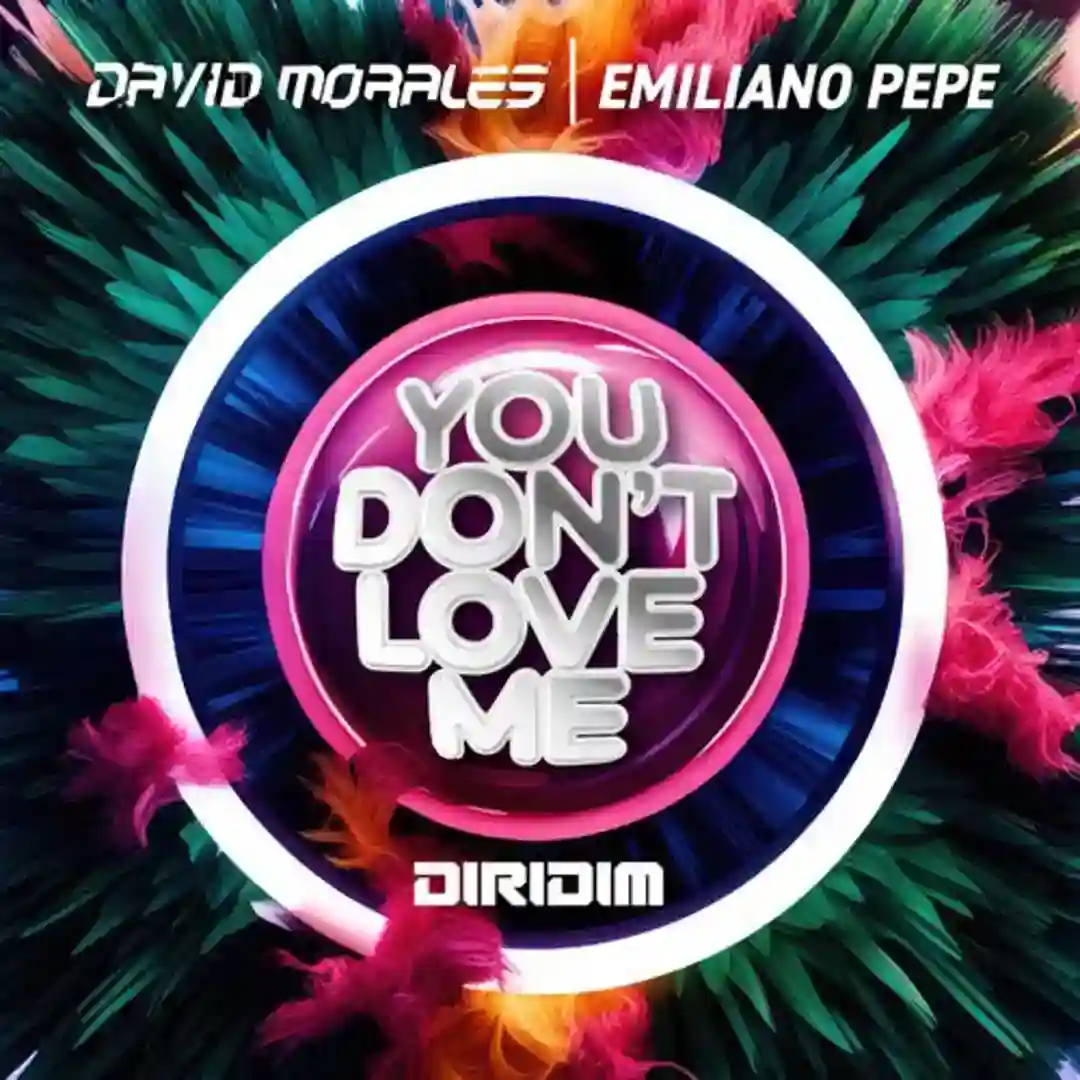 YOU DON'T LOVE ME (Extended Mix) cover