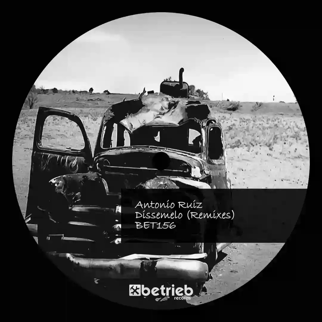 Dissemelo (Marco Bedini Remix) cover