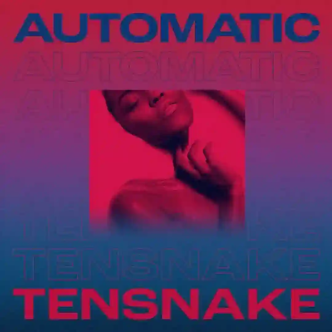 Automatic cover