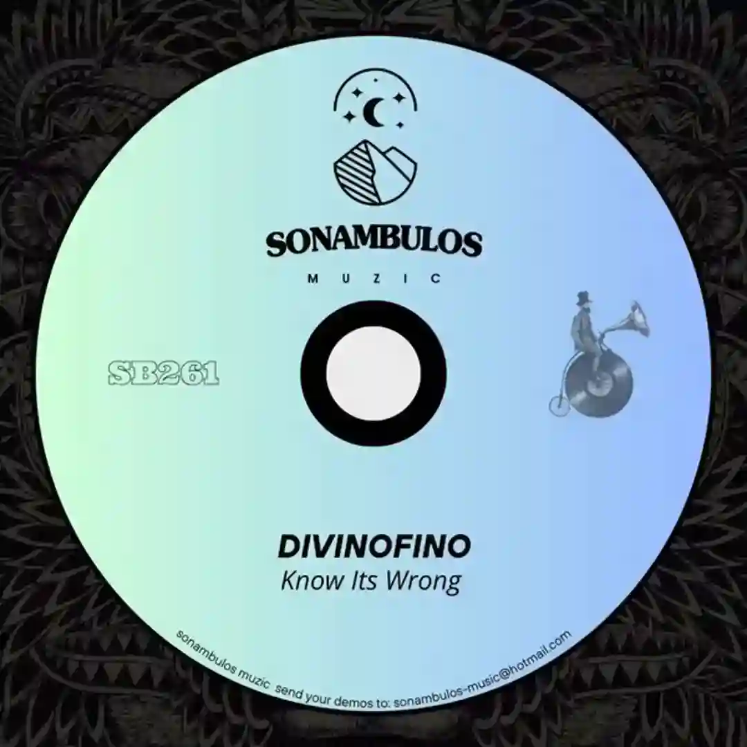 Know Its Wrong (Original Mix) cover