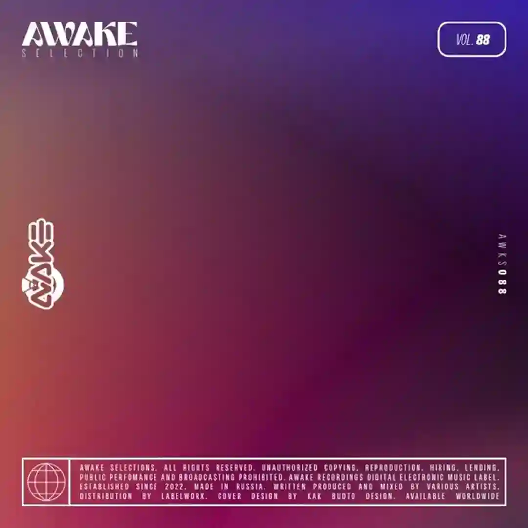 The Setup (Original Mix) cover