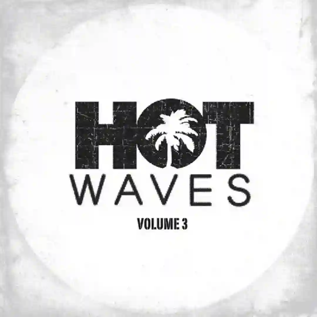 Crazy Life (Funky Fat Remix) [Hot Waves] cover