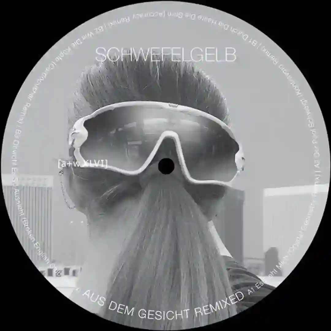Aus dem Gesicht Remixed cover