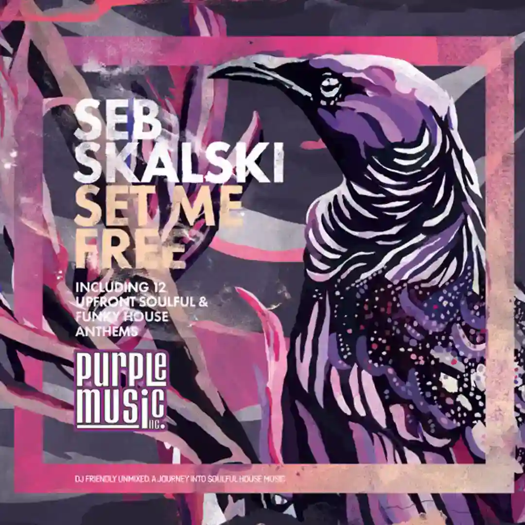 Disco Galaxy (Seb Skalski Main Mix) cover